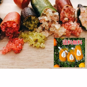 激安❢送料無料フィンガーライム50g＆ウマ!ほろ苦甘❣不知火マーマーレード　