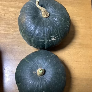 人気栗カボチャ　こふき　大玉