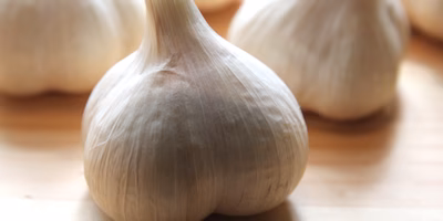 夏の溜まった疲れを吹き飛ばす、スタミナ食材！【ポケマルまとめ】