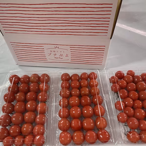 こだわりが生み出した旨味ミニトマト　プチぷよ