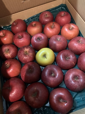 みんなの投稿の画像