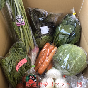 Ⓑ静岡厳選野菜セット