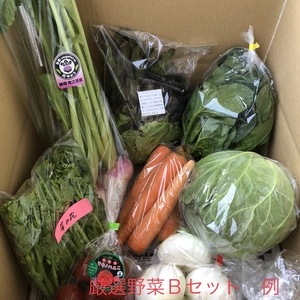 Ⓑ静岡厳選野菜セット