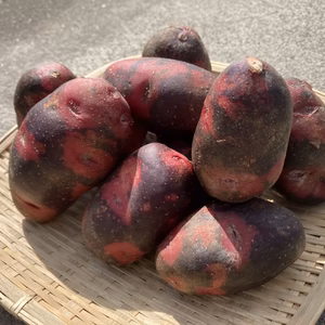 甘さにやみつき　ジャガイモ　グランドペチカ