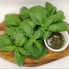 【ソース作りも簡単！】スイートバジル☆たっぷり約200g