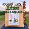 令和5年✨リピーター続出‼️会津産佐瀬農園の笑顔になれるコシヒカリ　白米