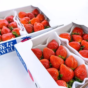 【おいしさ追求！】農園ブランド朝採り完熟恋ひめ