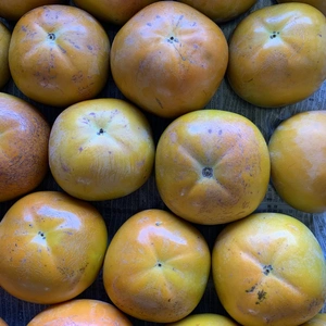 【ご家庭用】サクサク食感が大人気！の小玉の太秋柿