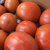 熊本県八代産　訳ありトマト「おっぺしゃん」4kg