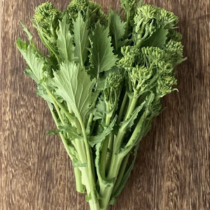 春のイタリア野菜 チーマディラーパ