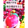 【すもも大石早生】初恋の味!?甘酸っぱい初夏の味！