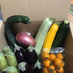 【クール便】高原の朝獲れ野菜セットSサイズ・農薬不使用