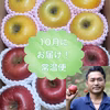 常温便❗️10月お届け✨2025年産 旬のりんご大きさ不揃い家庭用