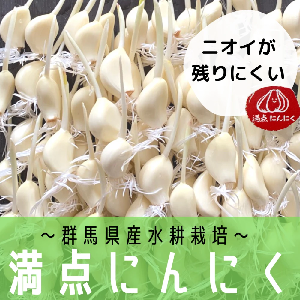 お得な群馬県産満点にんにく（発芽にんにく）100本セット