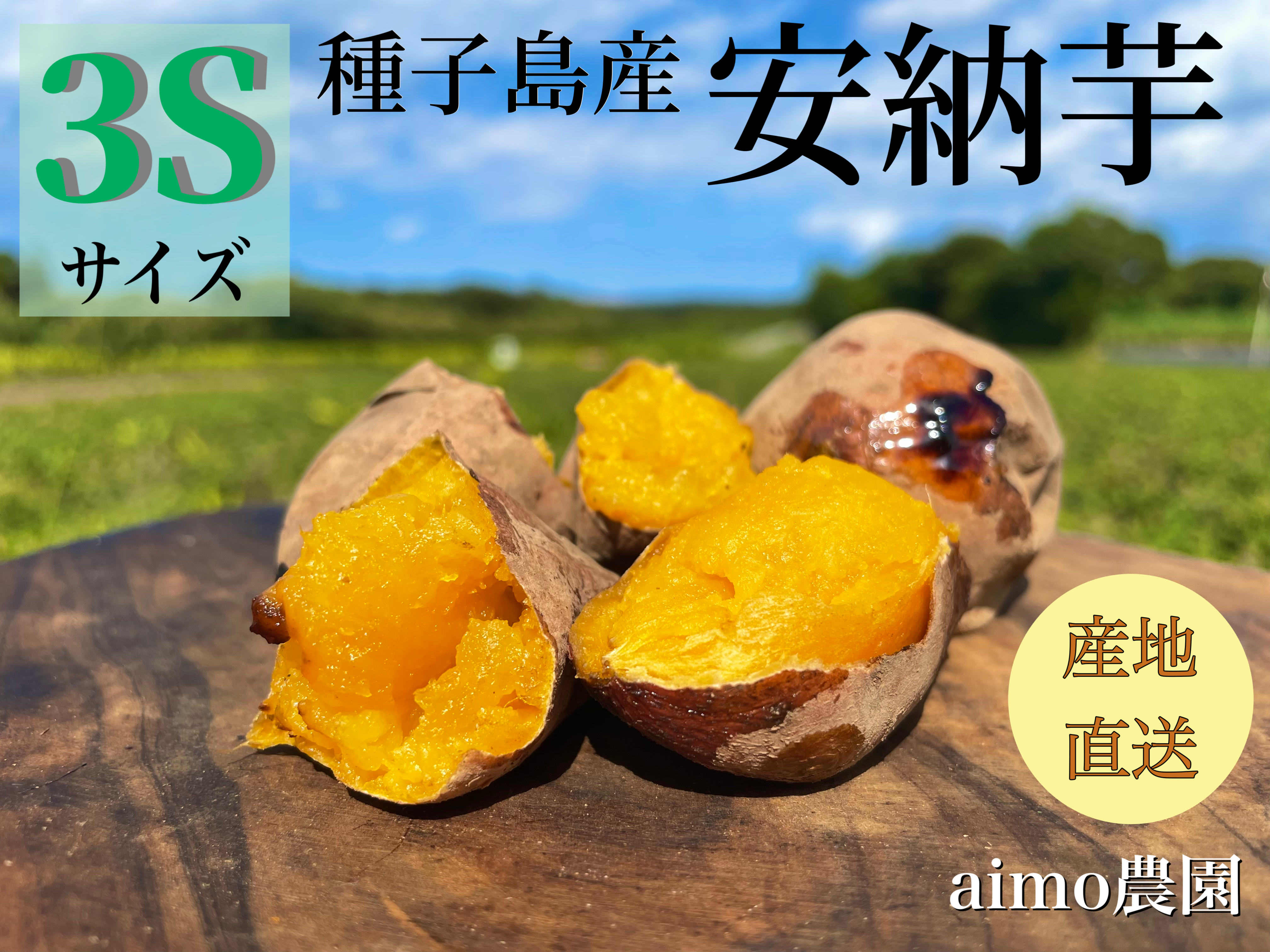 種子島産安納芋 プチサイズ3kg さつまいも 農薬:栽培期間中不使用 - 野菜