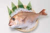 漁師が好んで食べるあの部位が入った真鯛の荒炊きセット【万能タレ付き】