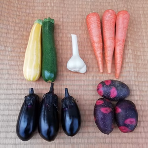 今が旬のお野菜5種詰め合わせ　野菜セット　