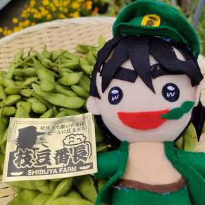 1kg 間もなく完売！枝豆好きに堪らない『枝豆番長』(全⑧品種)