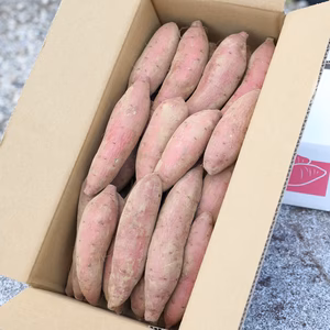 値下げ！シルクスイート４kg【土付き･２Ｓ～Ｓサイズ混載】