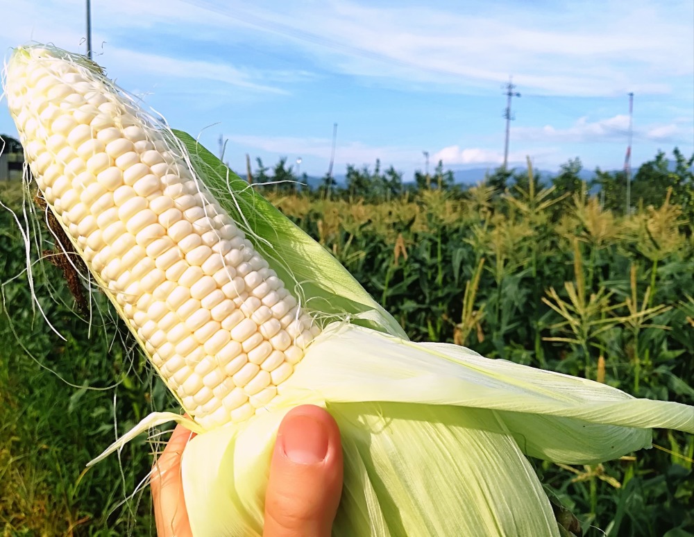 長野県安曇野市｜信州安曇野 フレンドファーム｜福嶋宏史さんの生産者