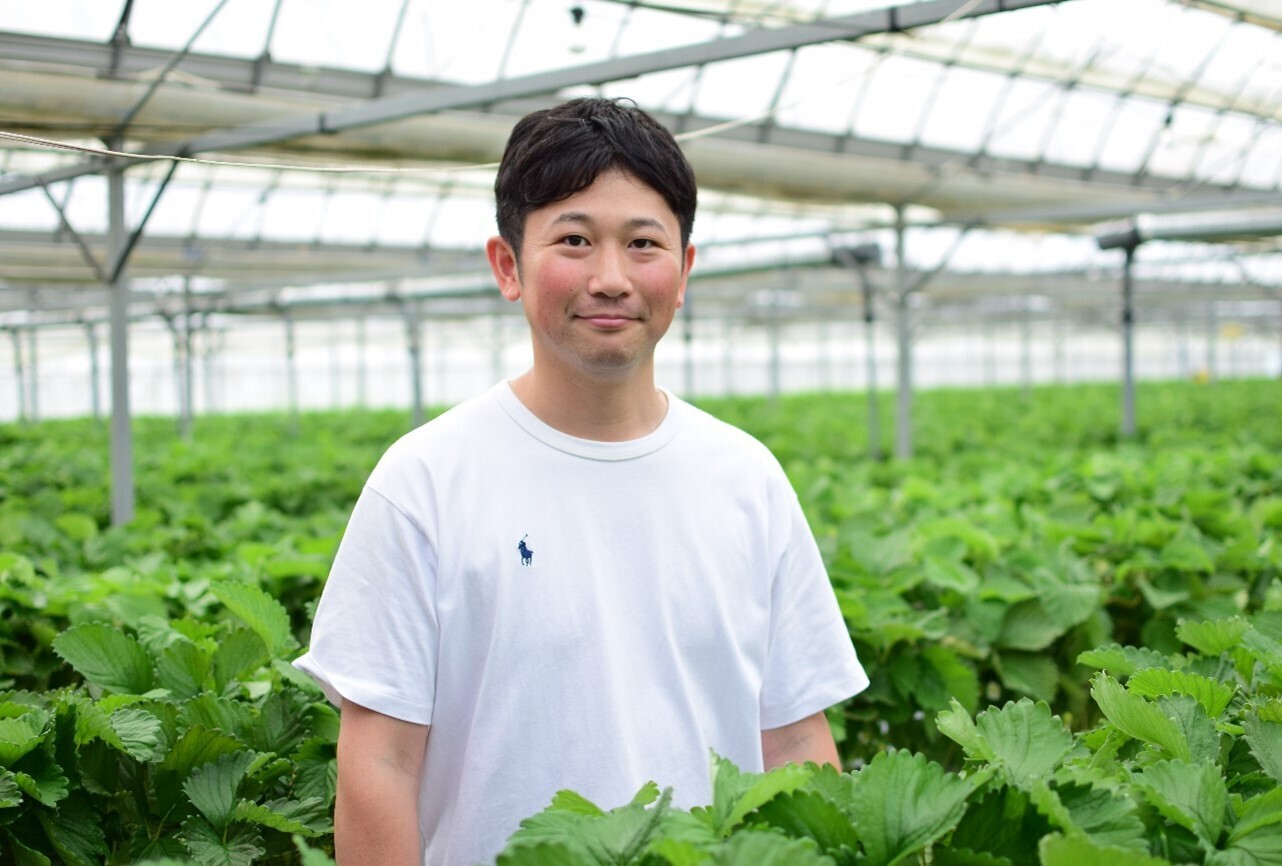 産地厳選　恋みのり　10パック　１パック約270ｇ 恋みのりの通販｜いちご｜2ページ目｜食べチョク｜産地直送(産直