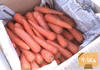 【完熟掘り！平均糖度9度】不揃い9.5kg　皮ごとOK！生でも甘い美味しい人参
