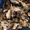 【訳アリ牡蠣】殻は汚れてるけど身は満タン！80サイズ4kg/100サイズ8kg