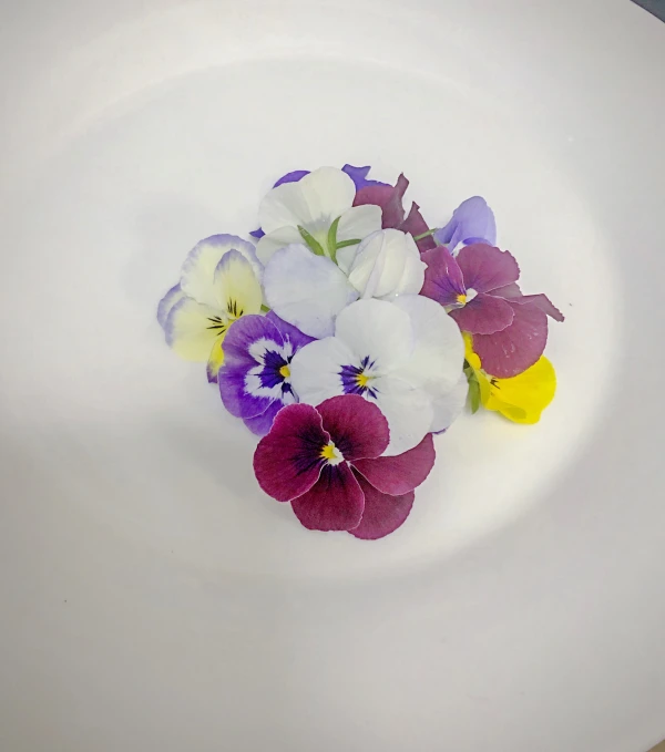 エディブルフラワー（食用花）ビオラー