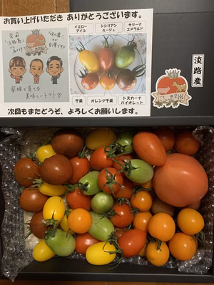 みんなの投稿の画像