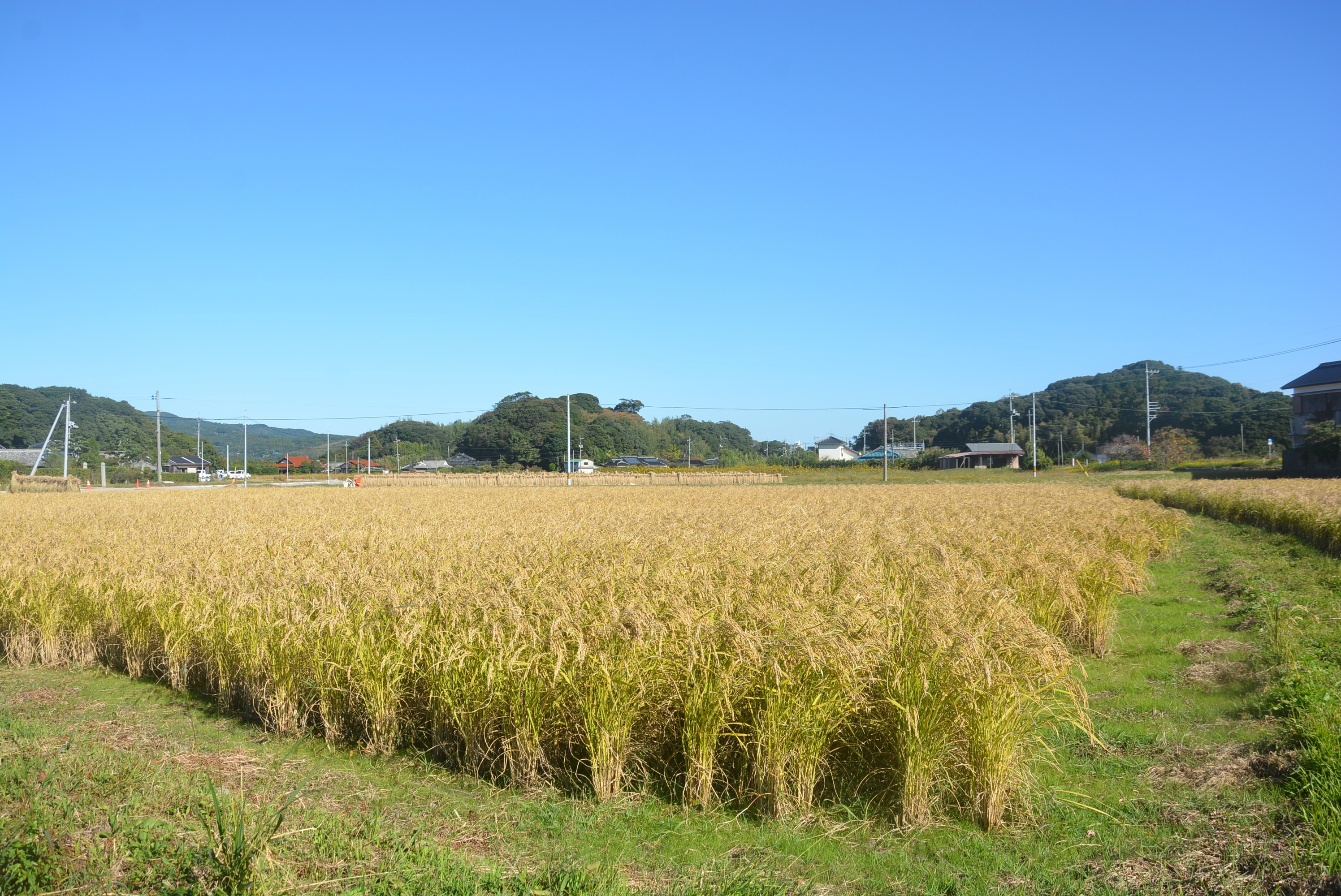 山口県長門市｜たけ爺農場｜槇田貴公さんの生産者プロフィール