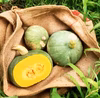 5kg自然栽培かぼちゃ食べ比べセット【数量限定】固定種　農薬不使用　野菜