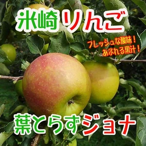 【米崎りんご】葉取らずジョナゴールド　フレッシュな酸味！
