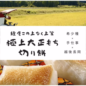 希少種　程度この上なく上等「極上大正もち」切り餅10袋×2袋