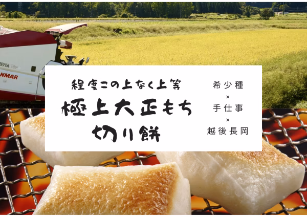 9袋　お得！　程度この上なく上等「極上大正もち」