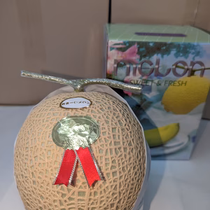 【贈答用メロン】静岡マスクメロン　７月1日より　等級　山【芳醇な香りと甘さ♪】