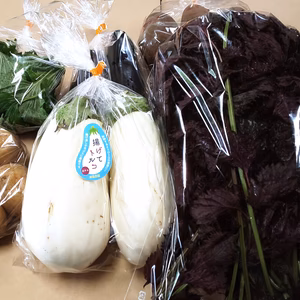 ☆7月限定☆オーダーメイド出来る　ミニ野菜セット