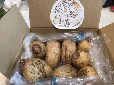 みんなの投稿の画像