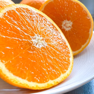 月末まで割引 甘い 清見みかん【和歌山のみかん】蜜柑 ミカン 送料無料