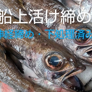 【船上神経締め】深海の高級魚ムツ1匹(約500g)