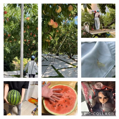 みんなの投稿の画像