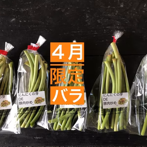 春の風『旬』!  シャキシャキにんにくの芽