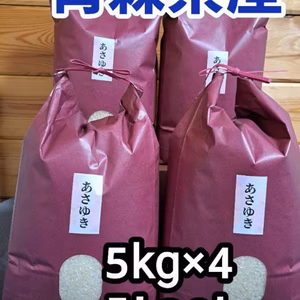 送料無料‼️令和5年青森県産あさゆき5kg×4計20kg