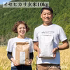 【ご予約専用】<2023年秋>イセヒカリ玄米(令和5年度産)