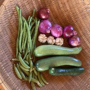熊本県八代産5月に採れた野菜詰め合わせ　3kgほどです