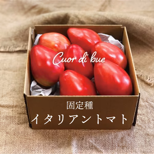 イタリアで人気！【固定種】Cuor di bueトマト《化学肥料・農薬不使用》
