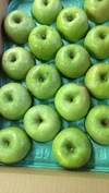 アップルパイ専用【グラニースミス】果肉しっかり酸味ある青りんご