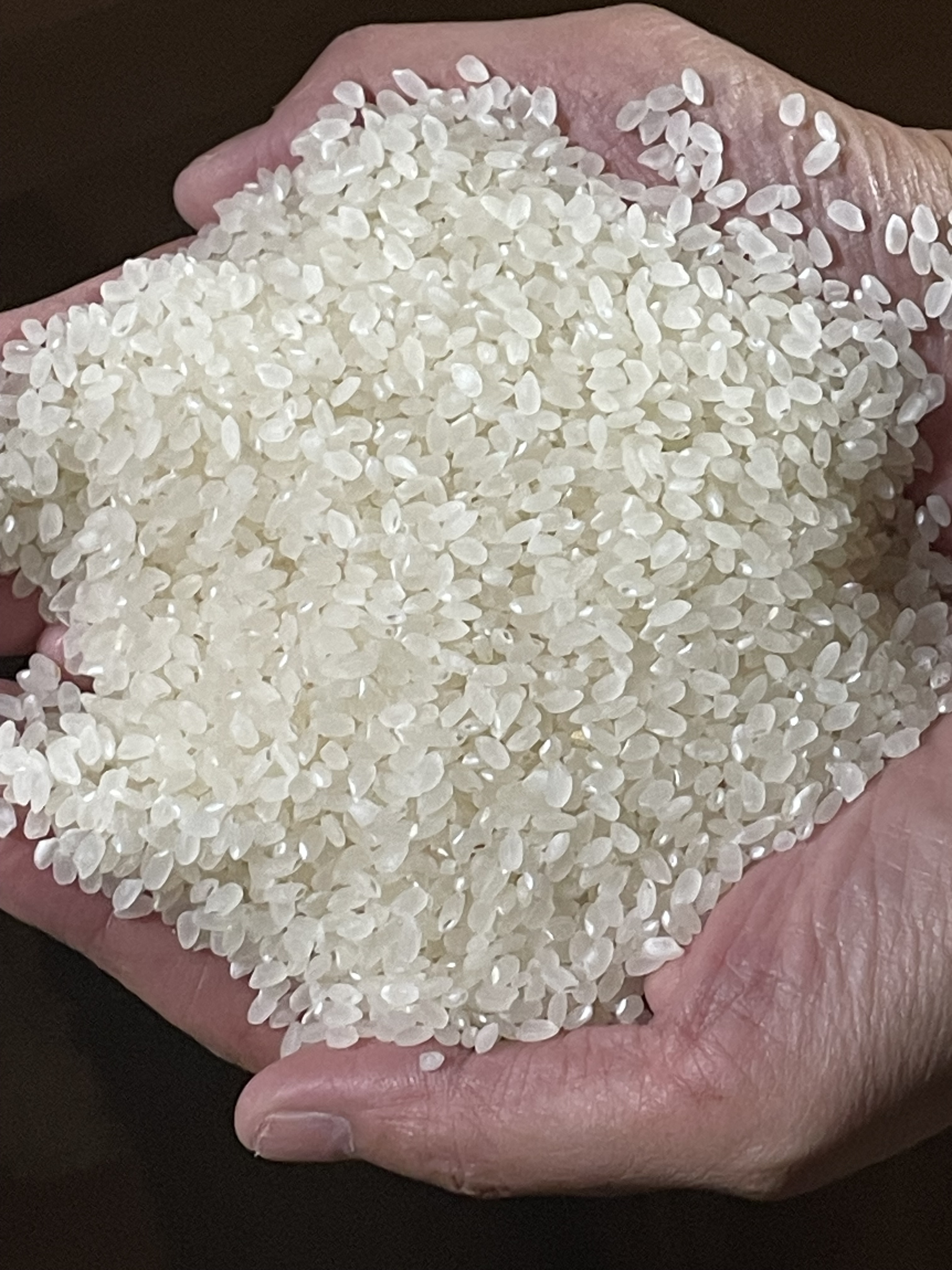 令和7年新米 低農薬 広島県庄原市東城町粟田産あきさかり10kg『精米