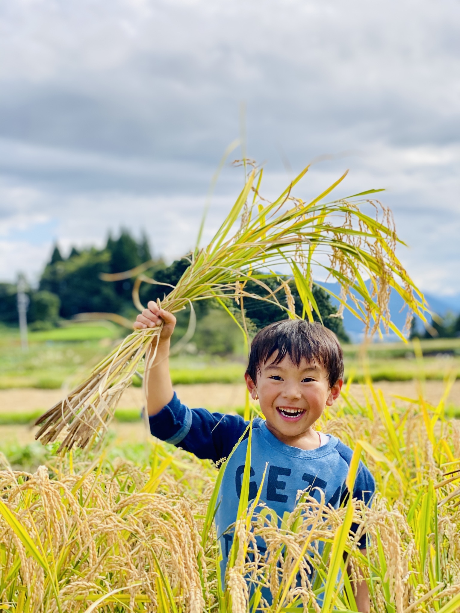 ふるさと納税 長野県 飯綱町 米 風さやか 5kg × 12回 令和5年産 特別