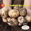 【6周年福袋】超大特価！じゃがいも「きたあかり」（農カード付き）