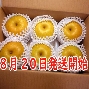 甘い果汁たっぷり！幸水梨、上物大玉６個入朝どれ当日出荷！金沢市ブランド認証農作物